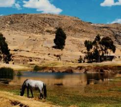 Laguna Wilcacocha